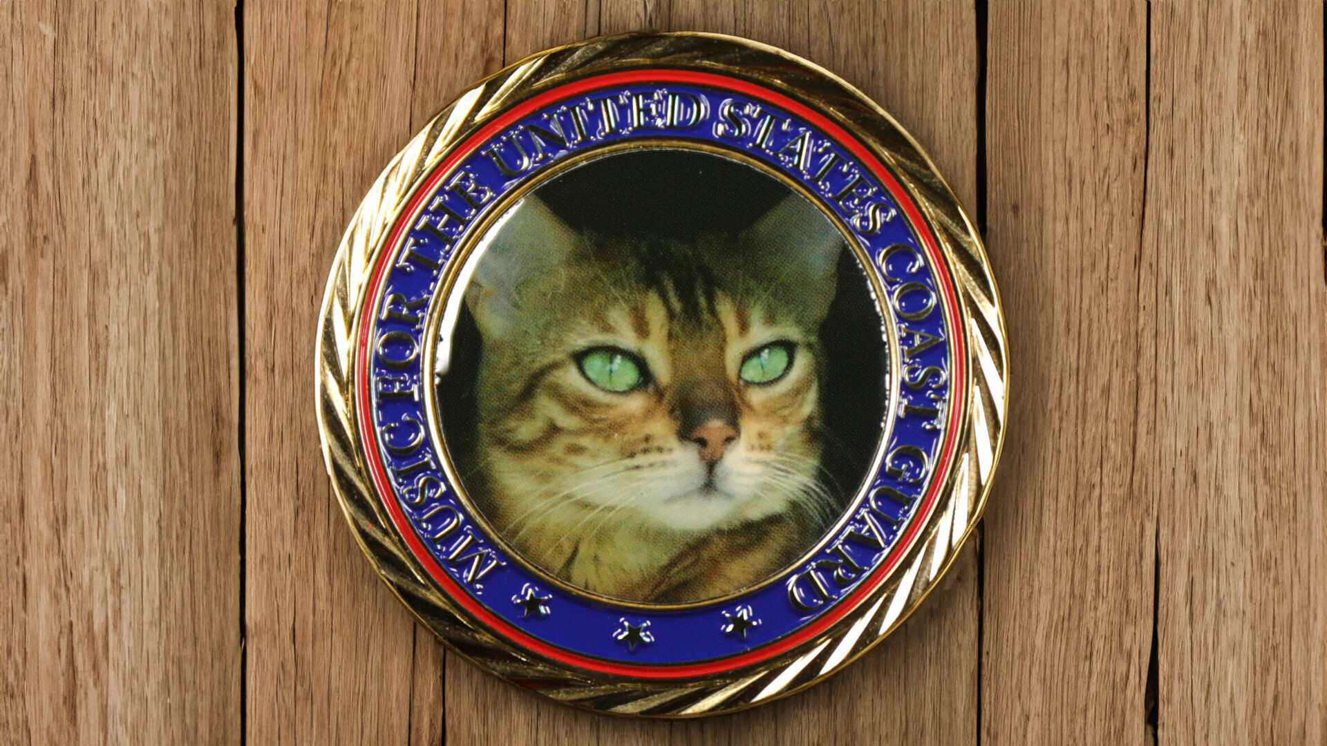 Celebrate Pets With Custom Pet Lover Coins